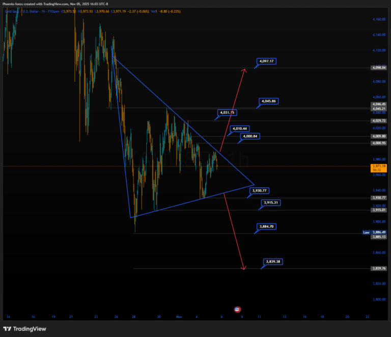photo_2025-11-05_16-07-04